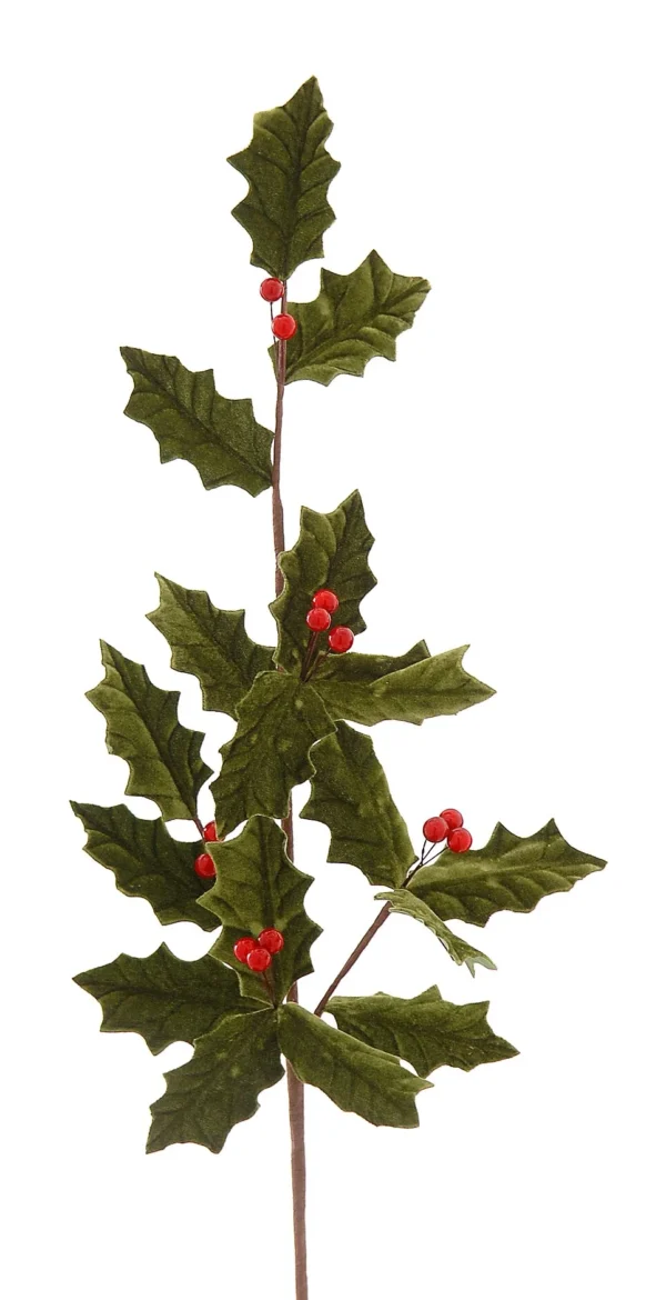 12/192-Κλαδί από πουρνάρι σε πράσινο/κόκκινο