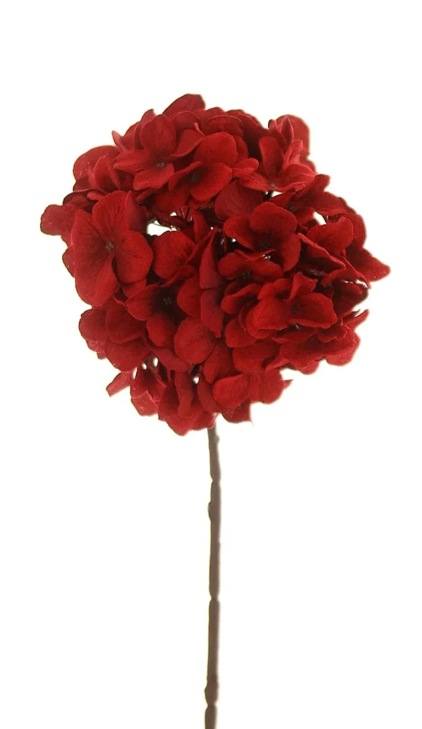 6/192-69cm Κόκκινος βλαστός ορτανσίας