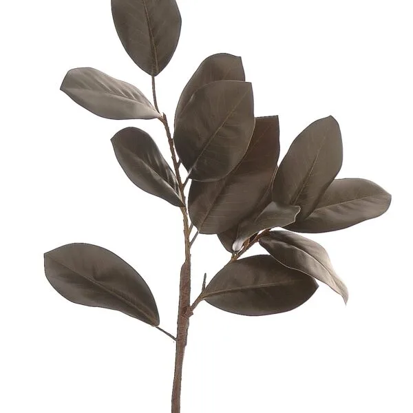 12/240-71cm Βλαστός με καφέ φύλλα μανόλιας