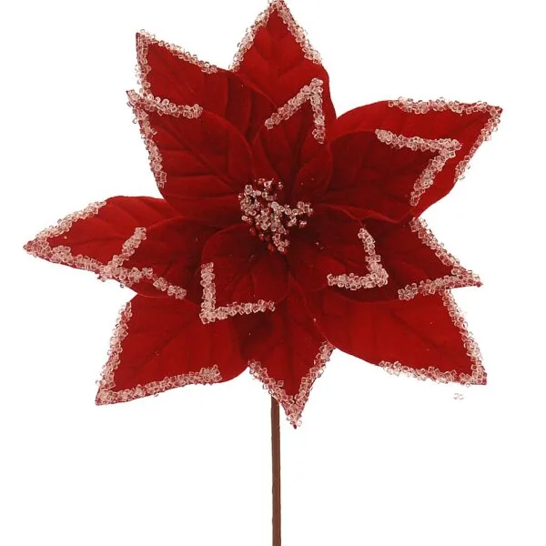 12/192-29cm Κόκκινο άνθος αλεξανδρινού
