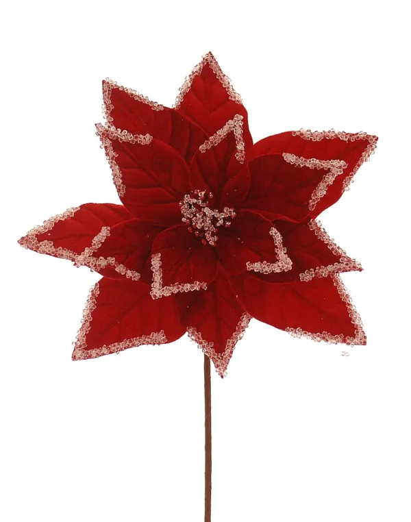 12/192-29cm Κόκκινο άνθος αλεξανδρινού