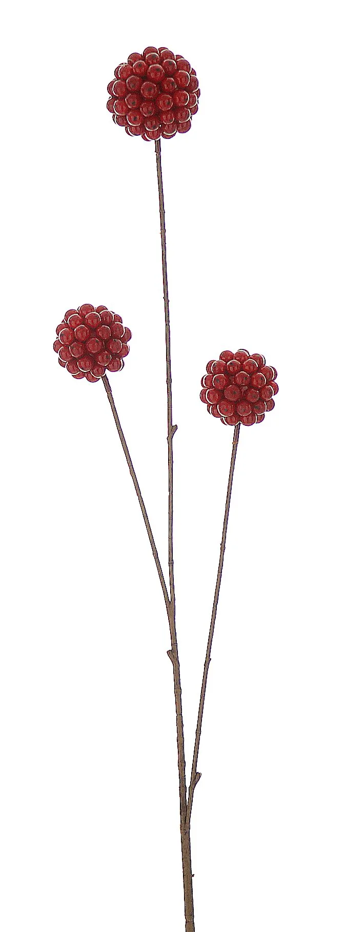 12/72-86cm Κλαδί με κόκκινα berries 12/72-86cm Κλαδί με κόκκινα berries