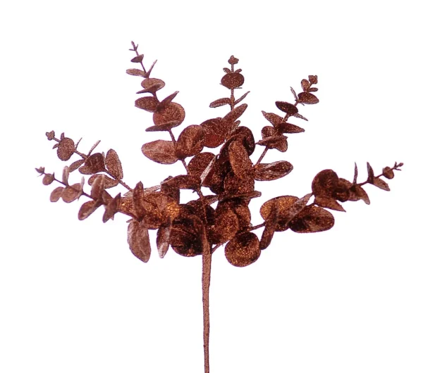 12/72-50cm Καφέ κλαδί ευκαλύπτου