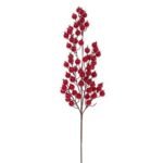 ΚΛΑΔΙ ΜΕ KOKKINA BERRIES 78 ΕΚ