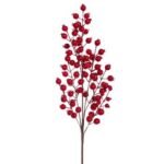 ΚΛΑΔΙ ΜΕ ΚΟΚΚΙΝΑ BERRIES 66ΕΚ