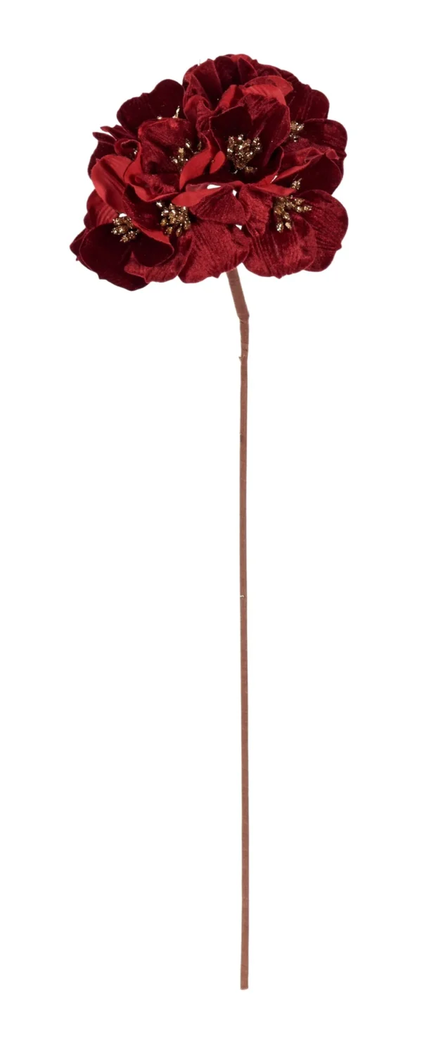 ΛΟΥΛΟΥΔΙ ΟΡΤΑΝΣΙΑ ΜΠΟΡΝΤΩ D17 CM S45 CM